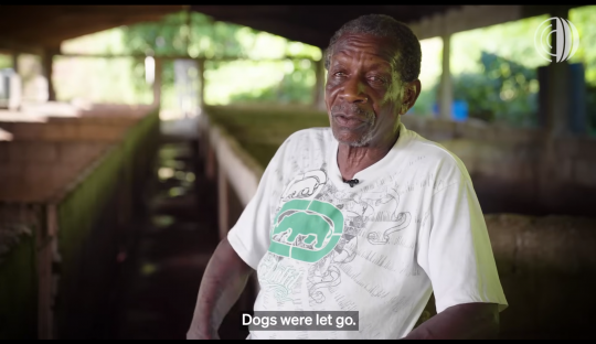 Tournage reportage vidéo Animal pensant aux Caraïbes